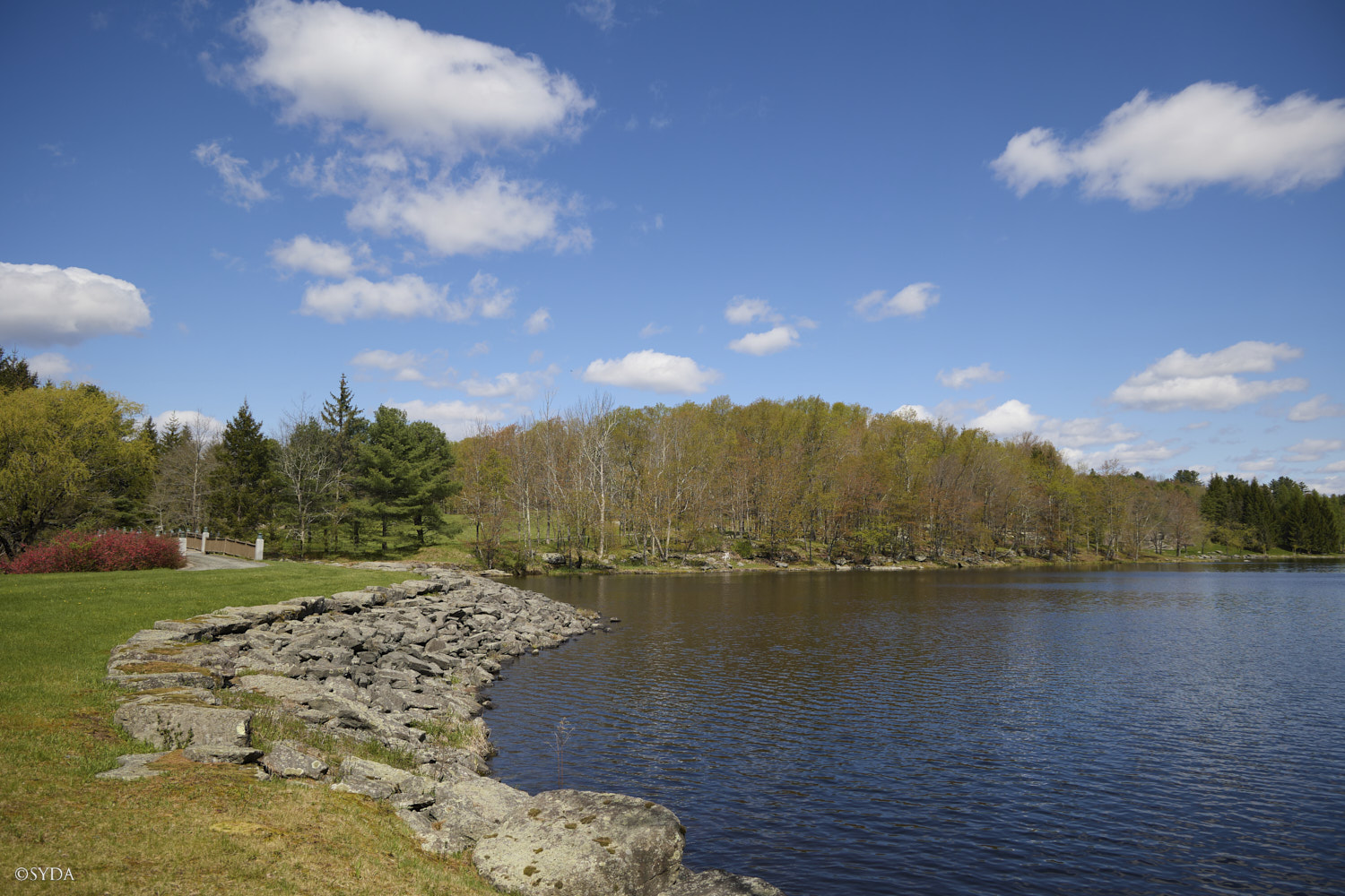 Nature Image