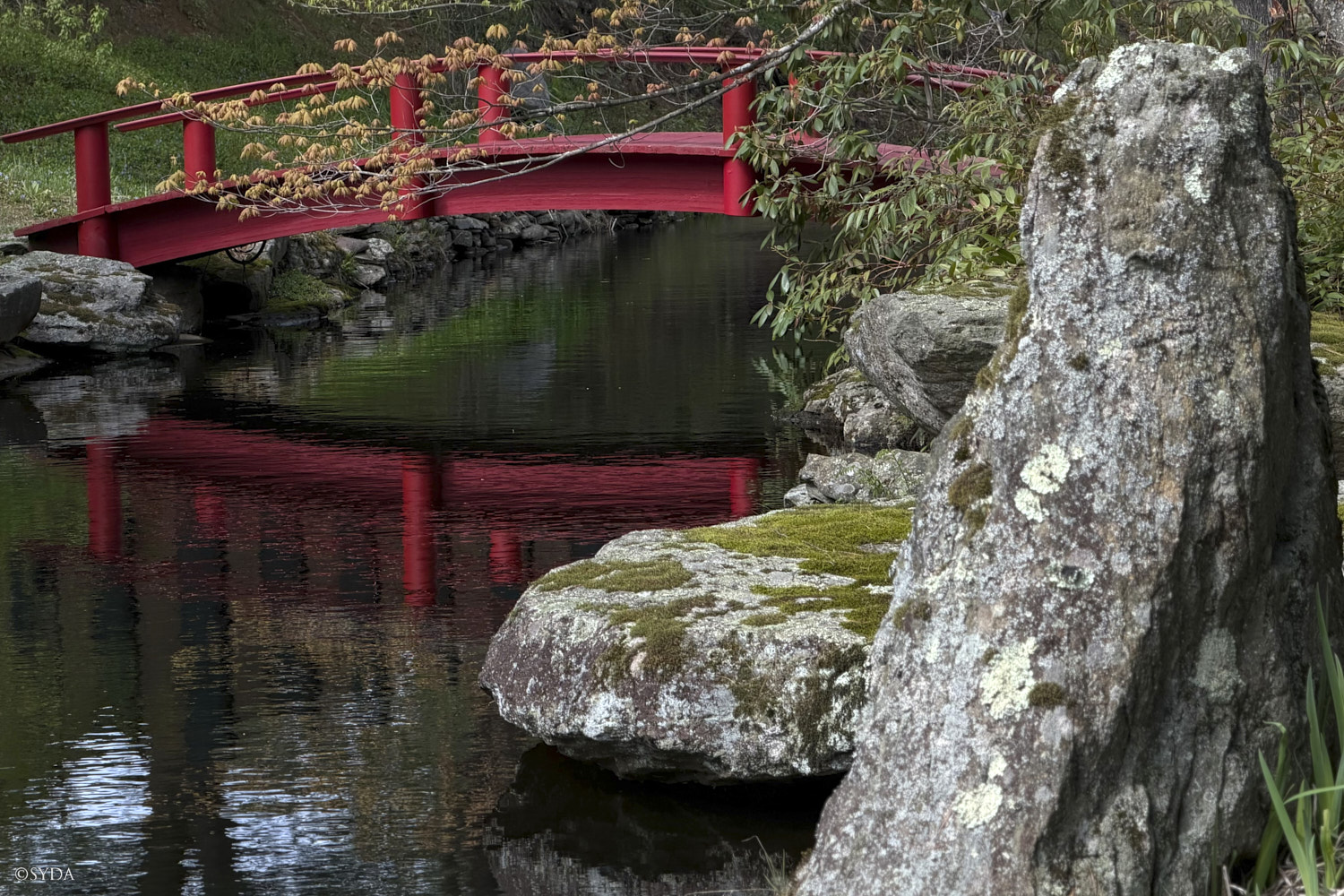 Nature Image