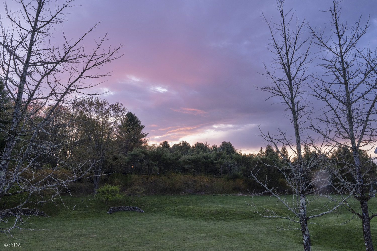 Nature Image