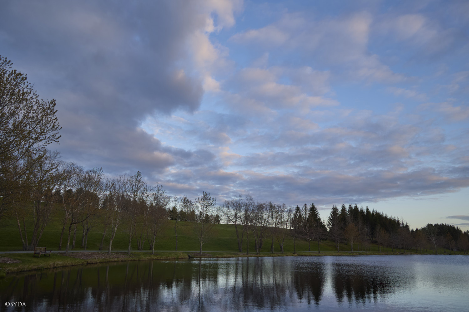 Nature Image