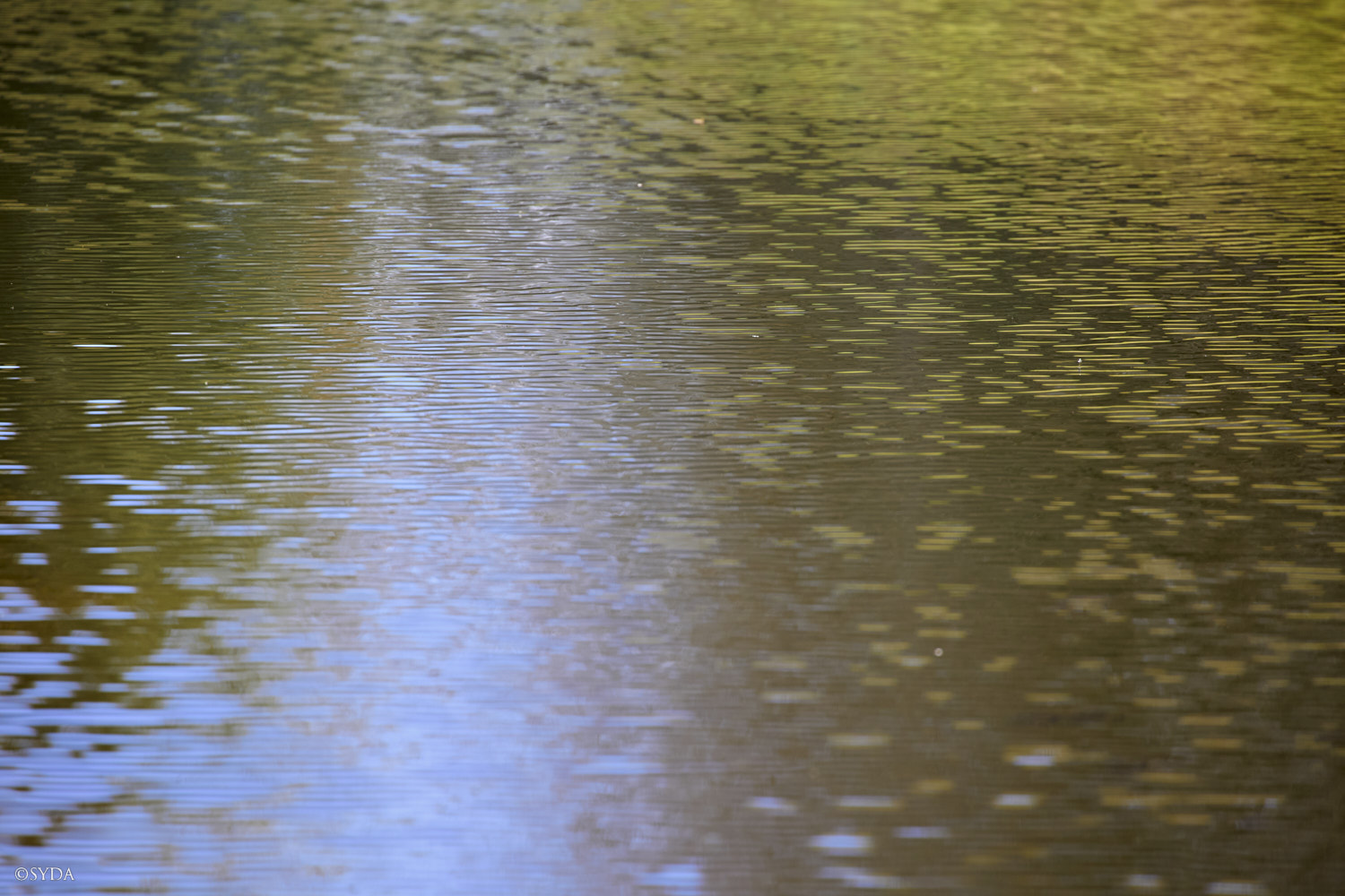 Nature Image
