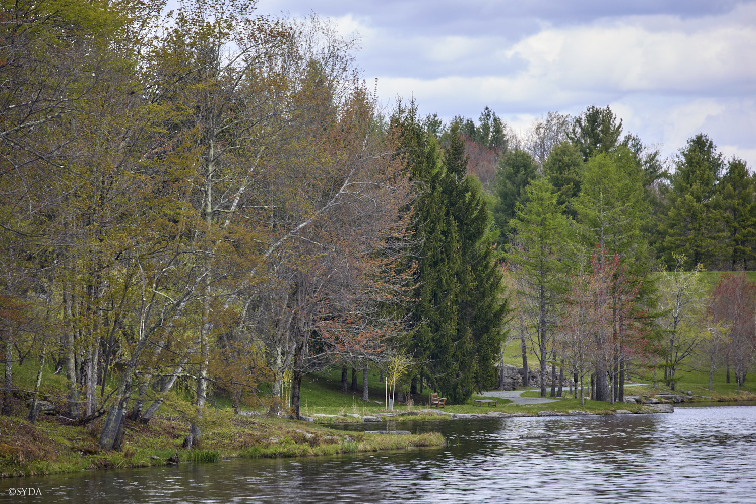 Nature Image