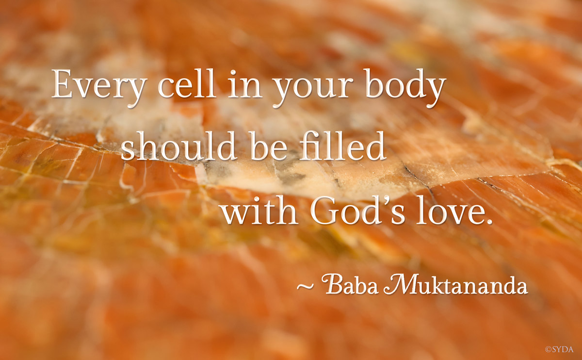 Timeless Teaching by Baba Muktananda - 1
