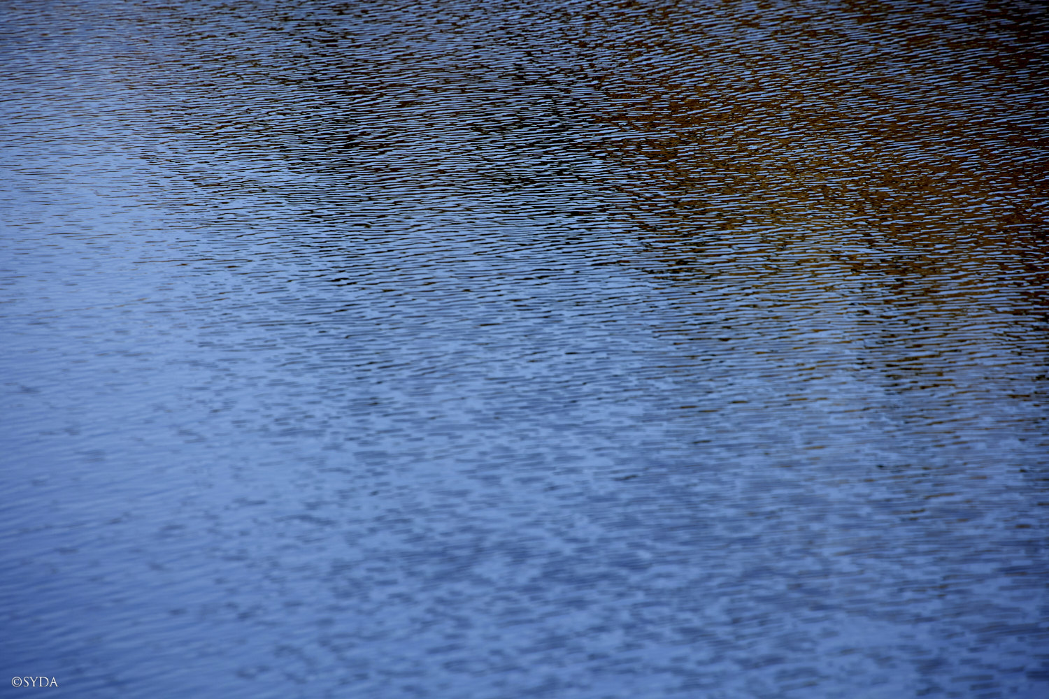 Nature Image