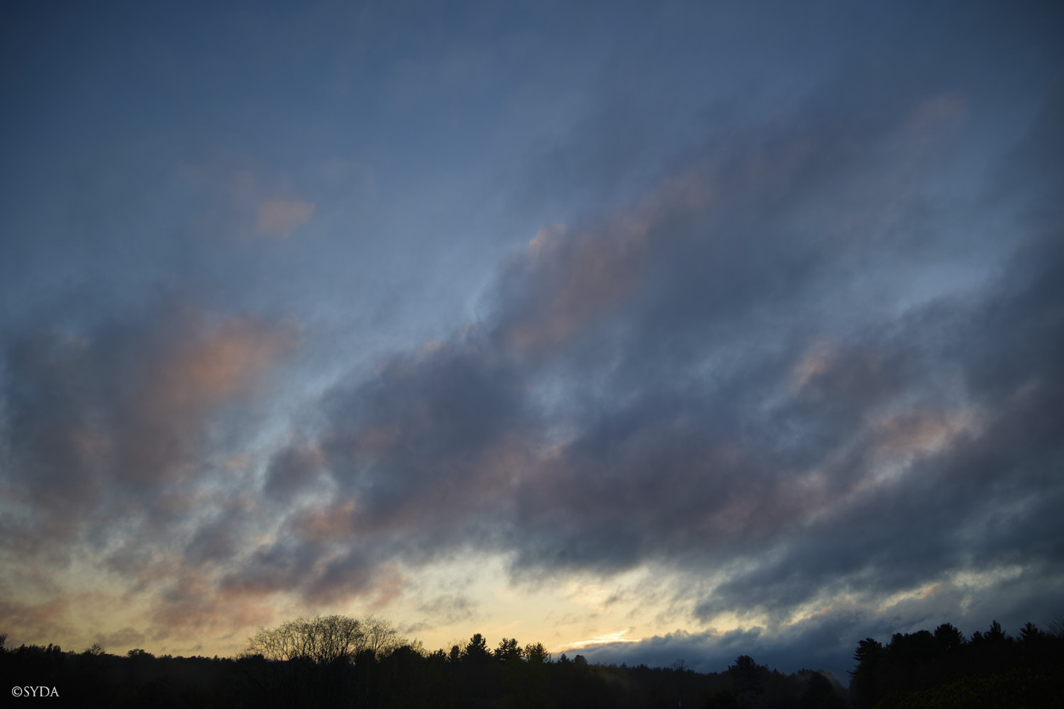 Nature Image