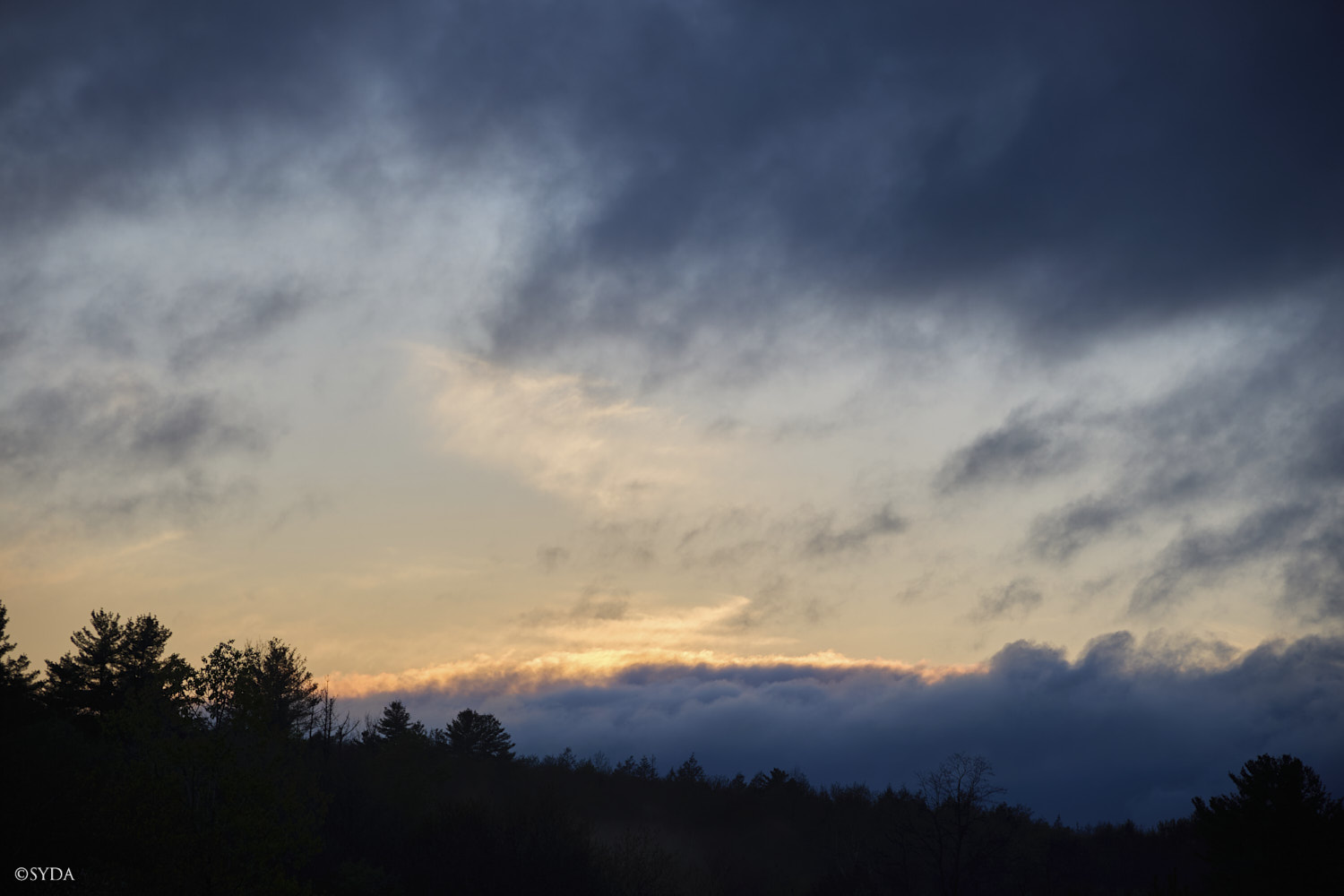 Nature Image