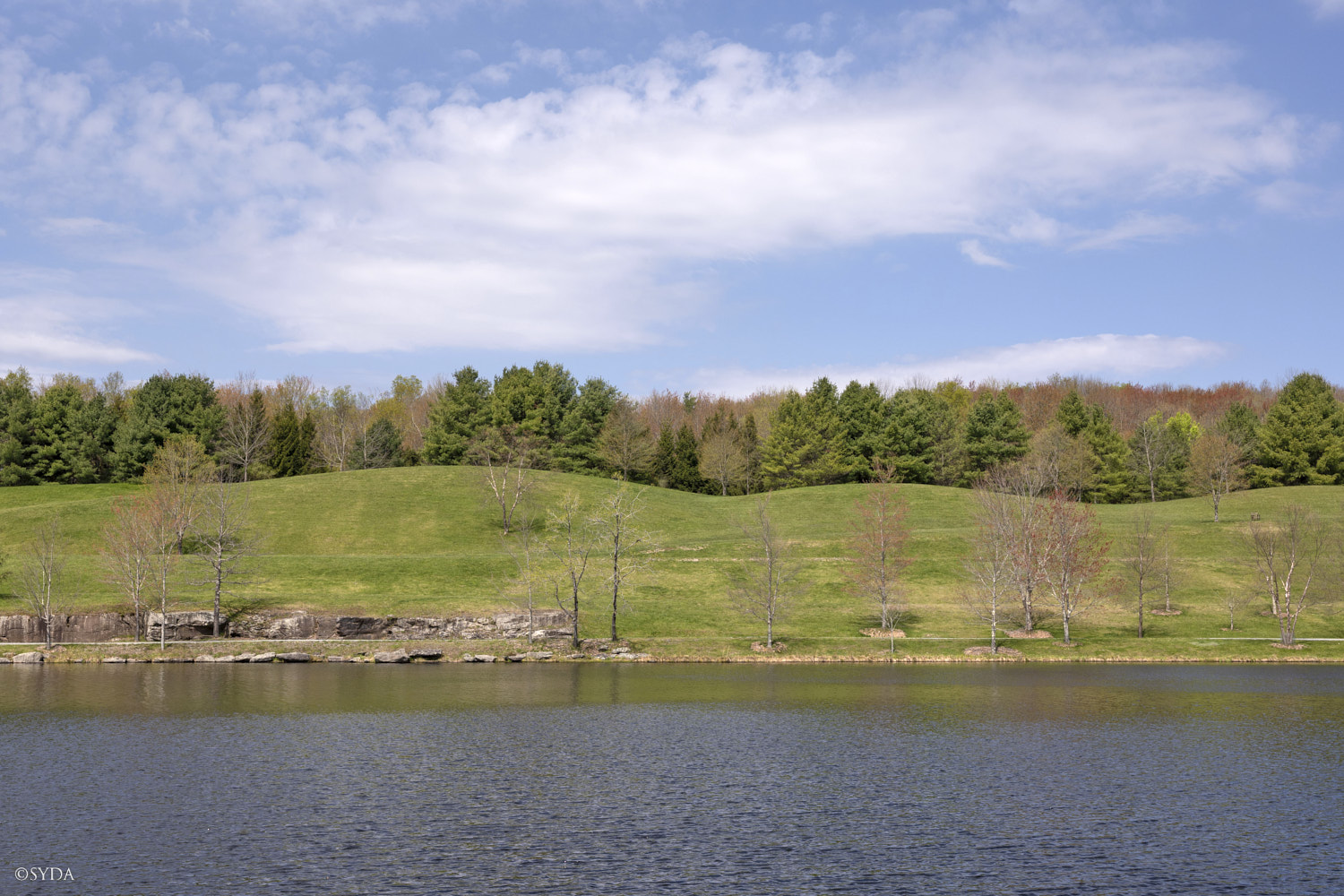 Nature Image