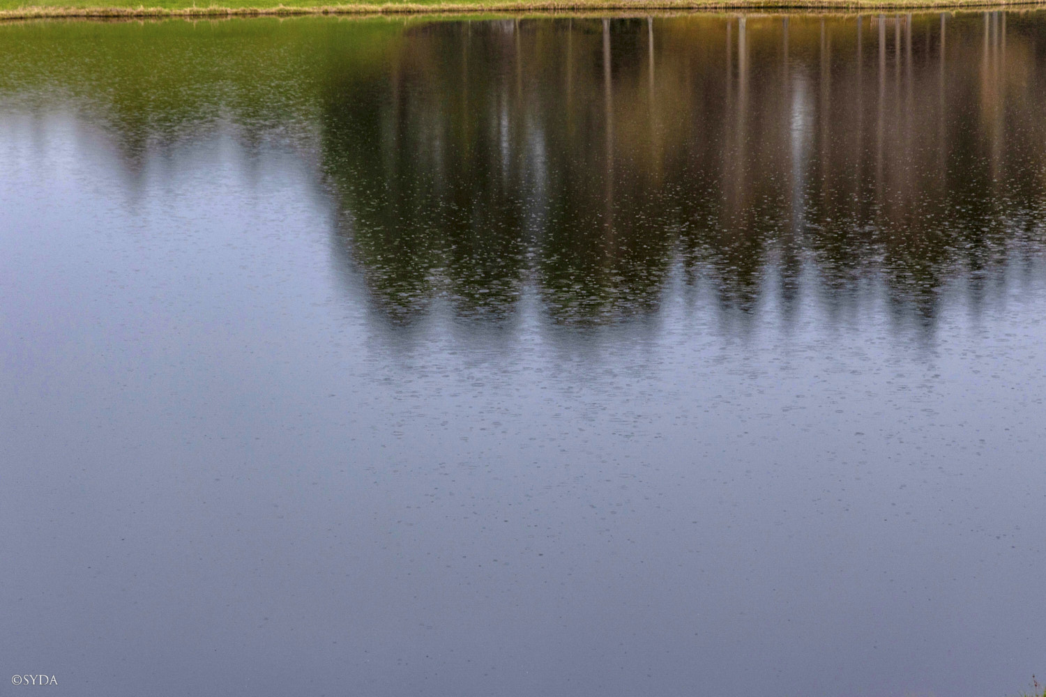 Nature Image