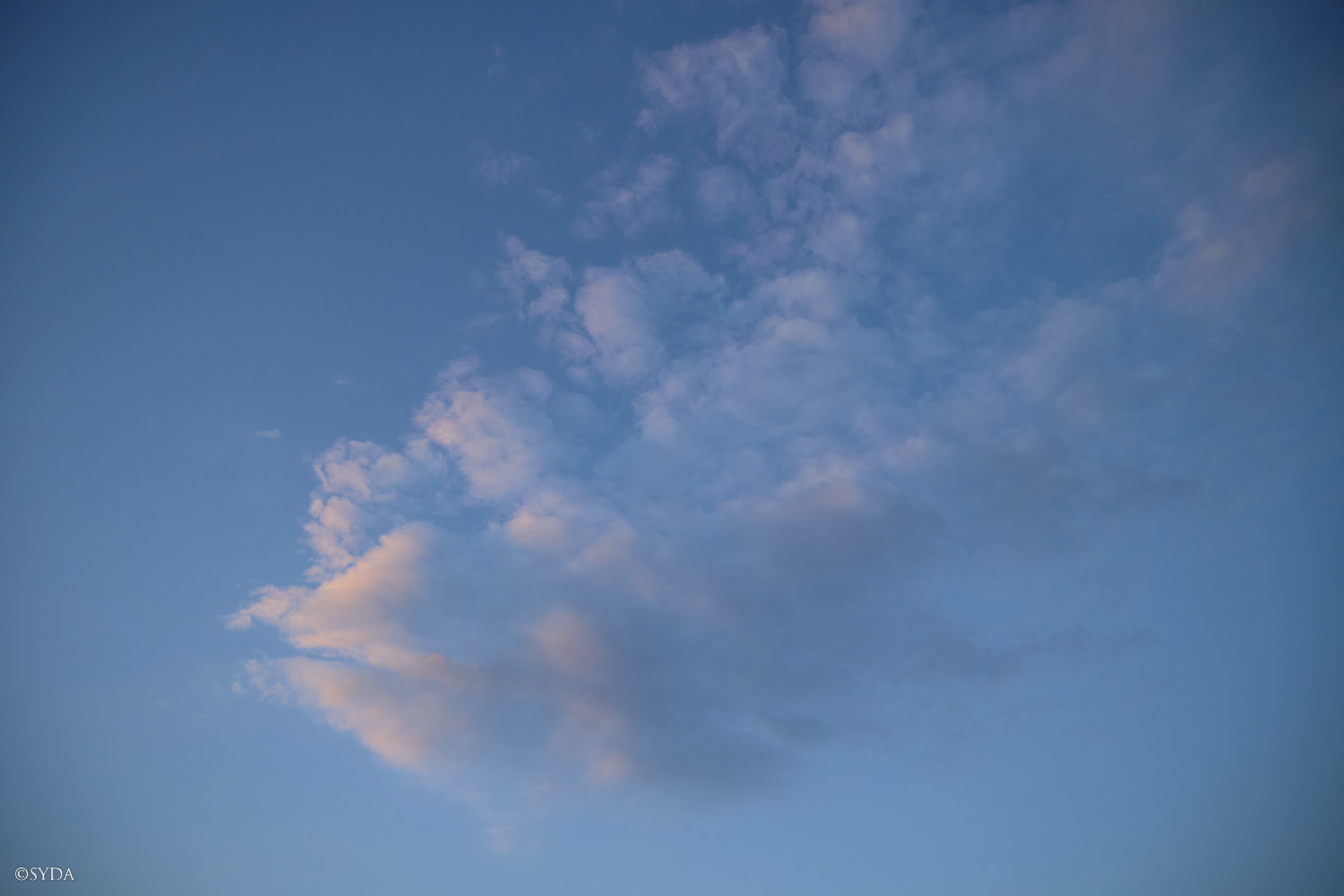 Nature Image