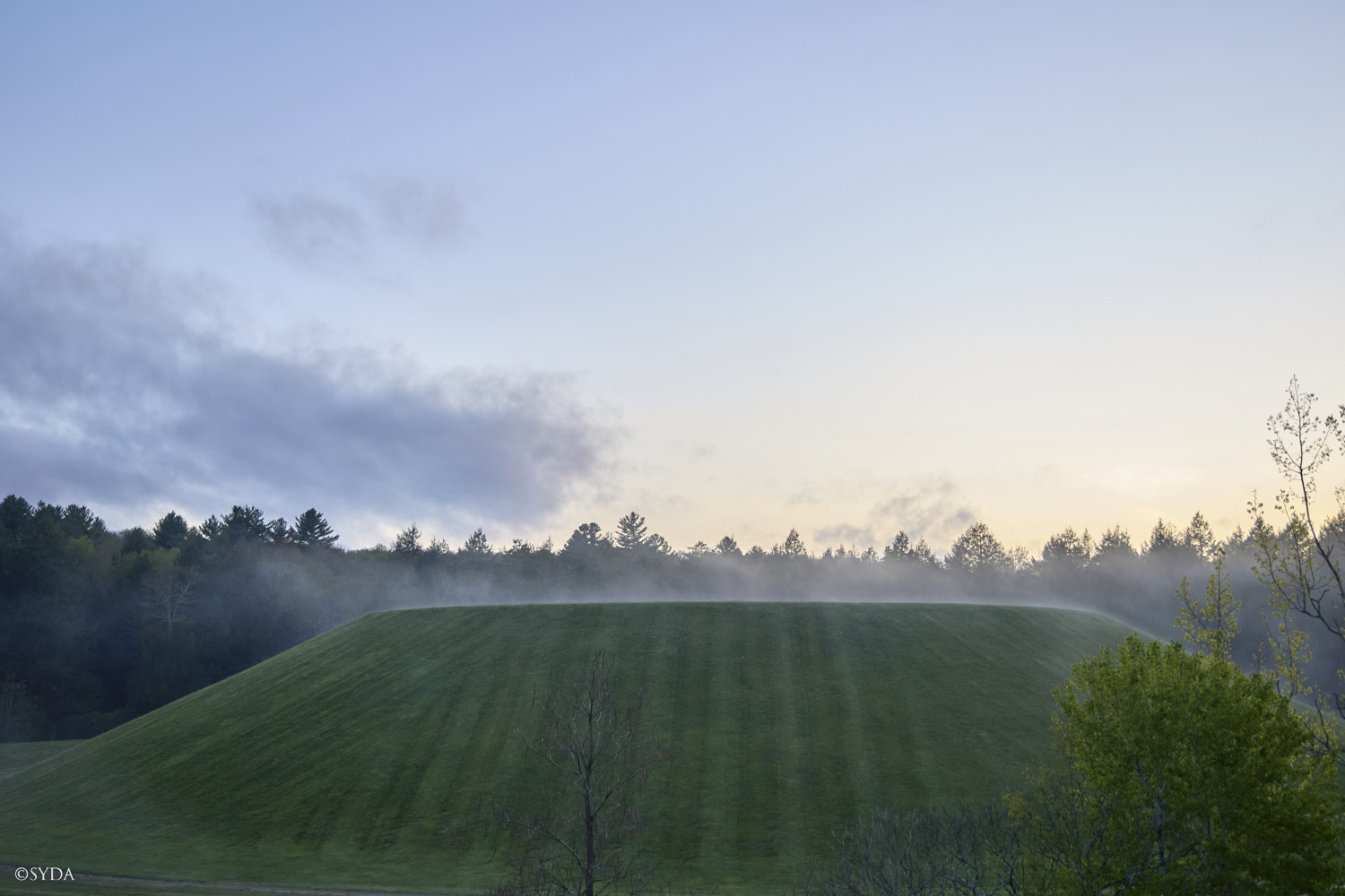 Nature Image