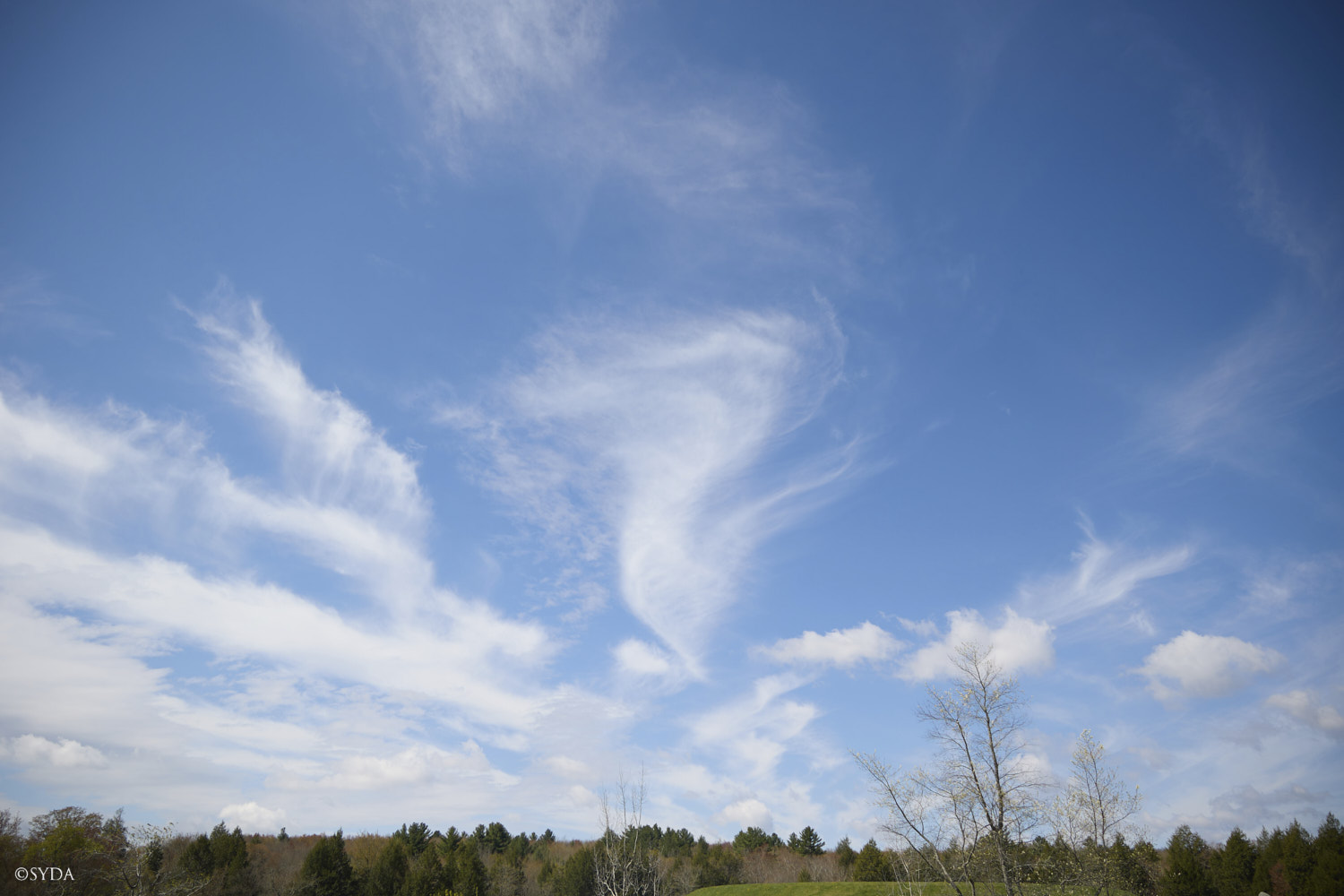 Nature Image