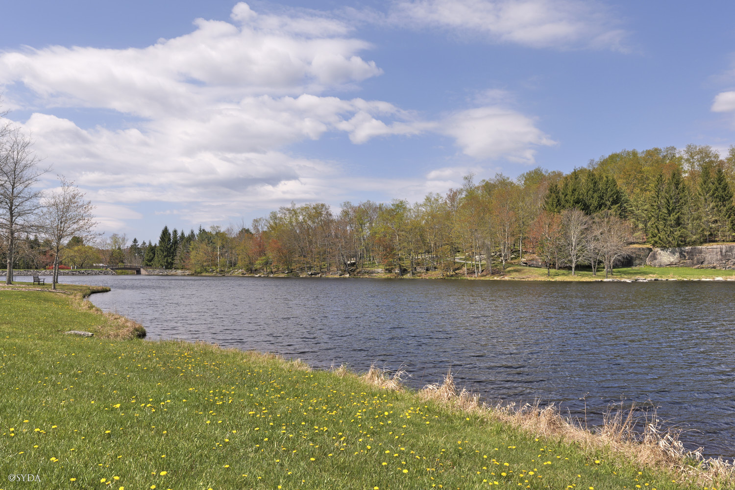 Nature Image
