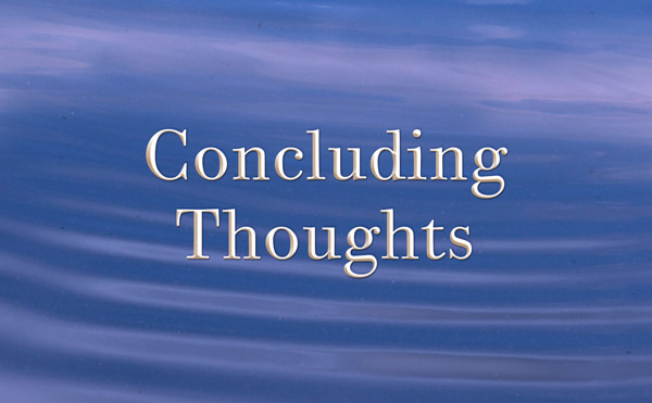 Concluding Thoughts