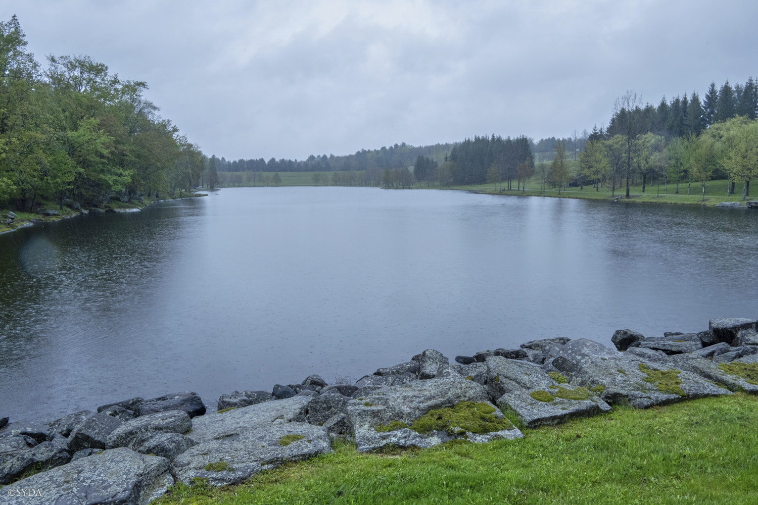 Nature Image