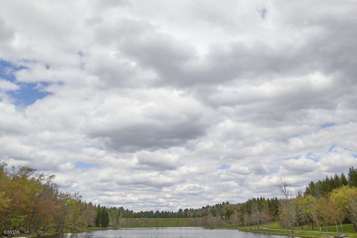 Nature Image
