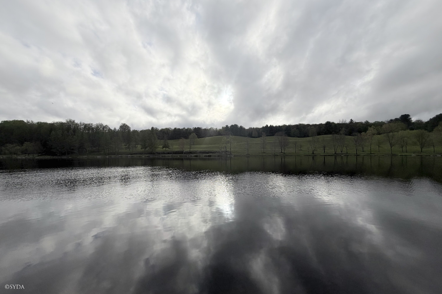 Nature Image