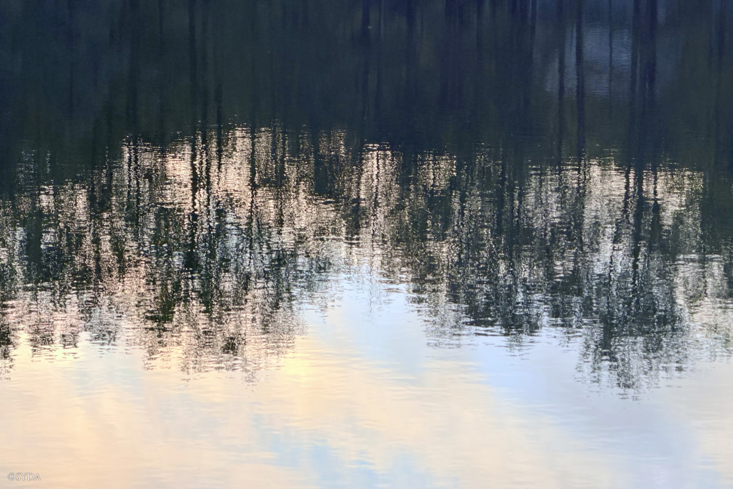 Nature Image