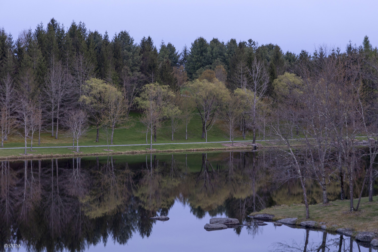 Nature Image
