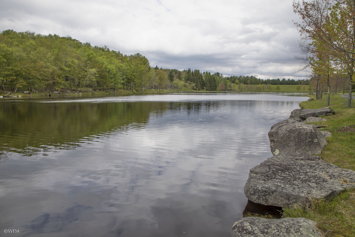 Nature Image
