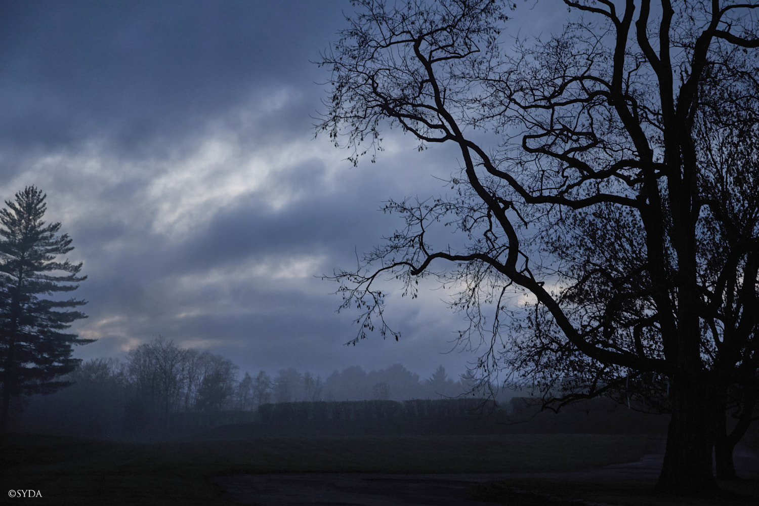 Nature Image