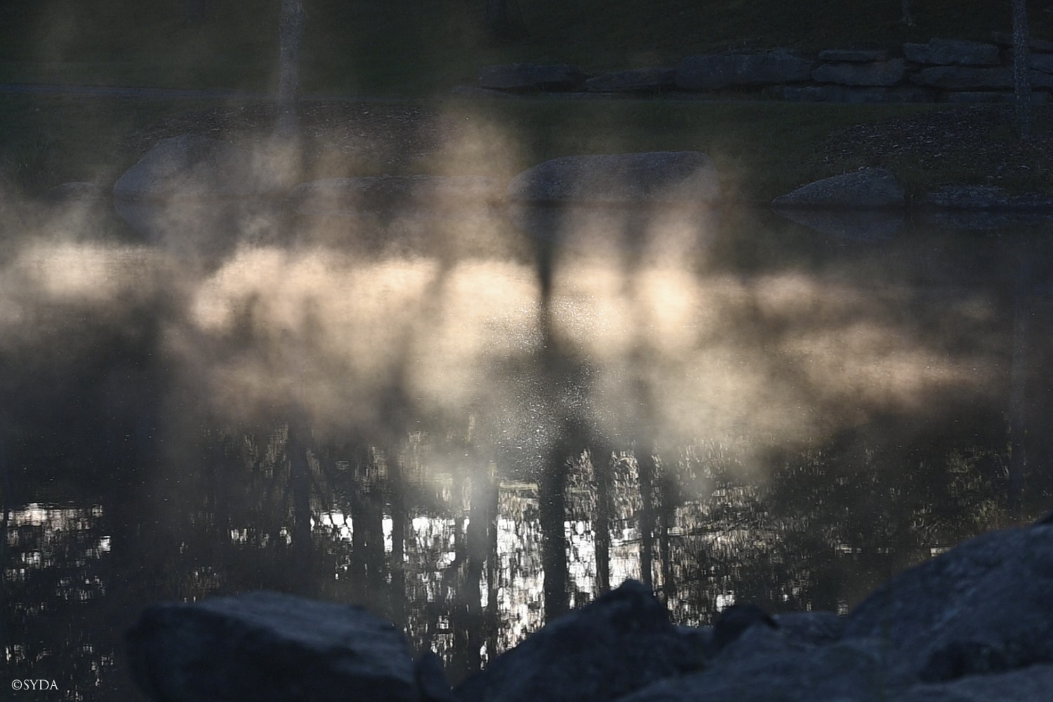 Nature Image