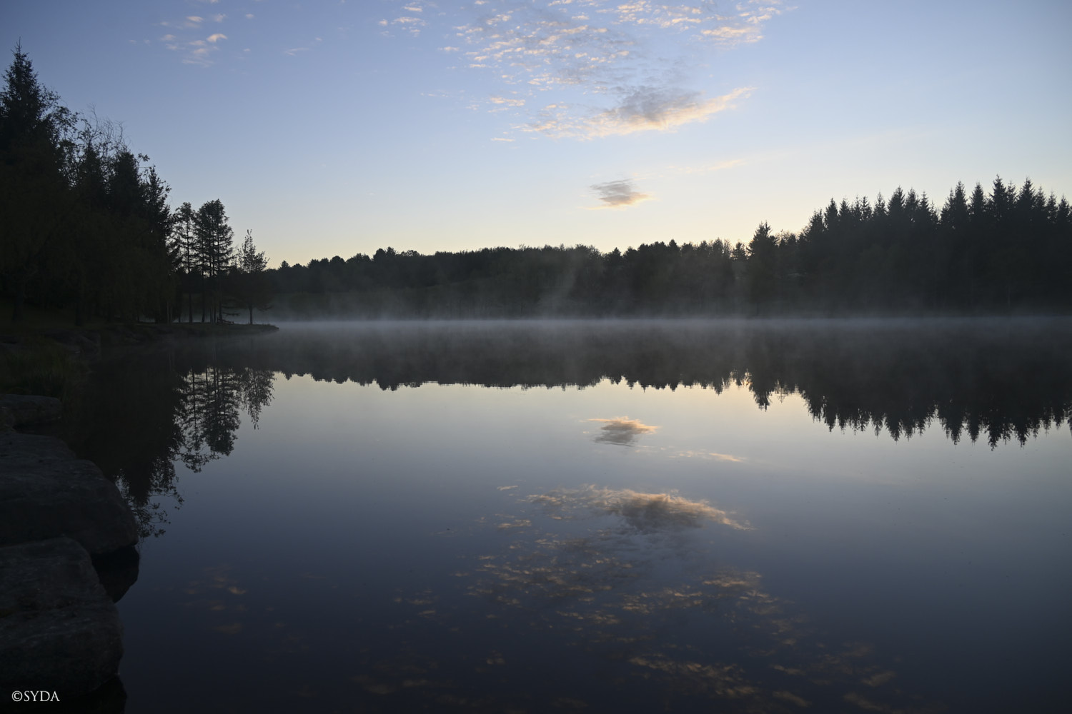 Nature Image