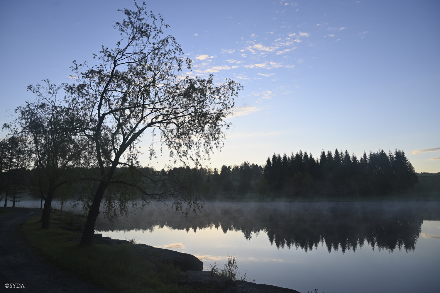 Nature Image