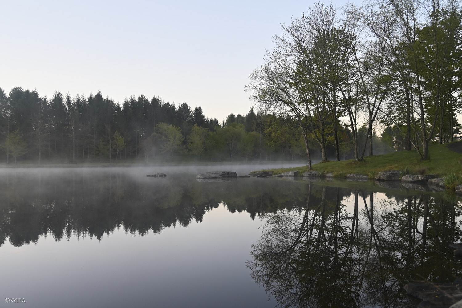 Nature Image