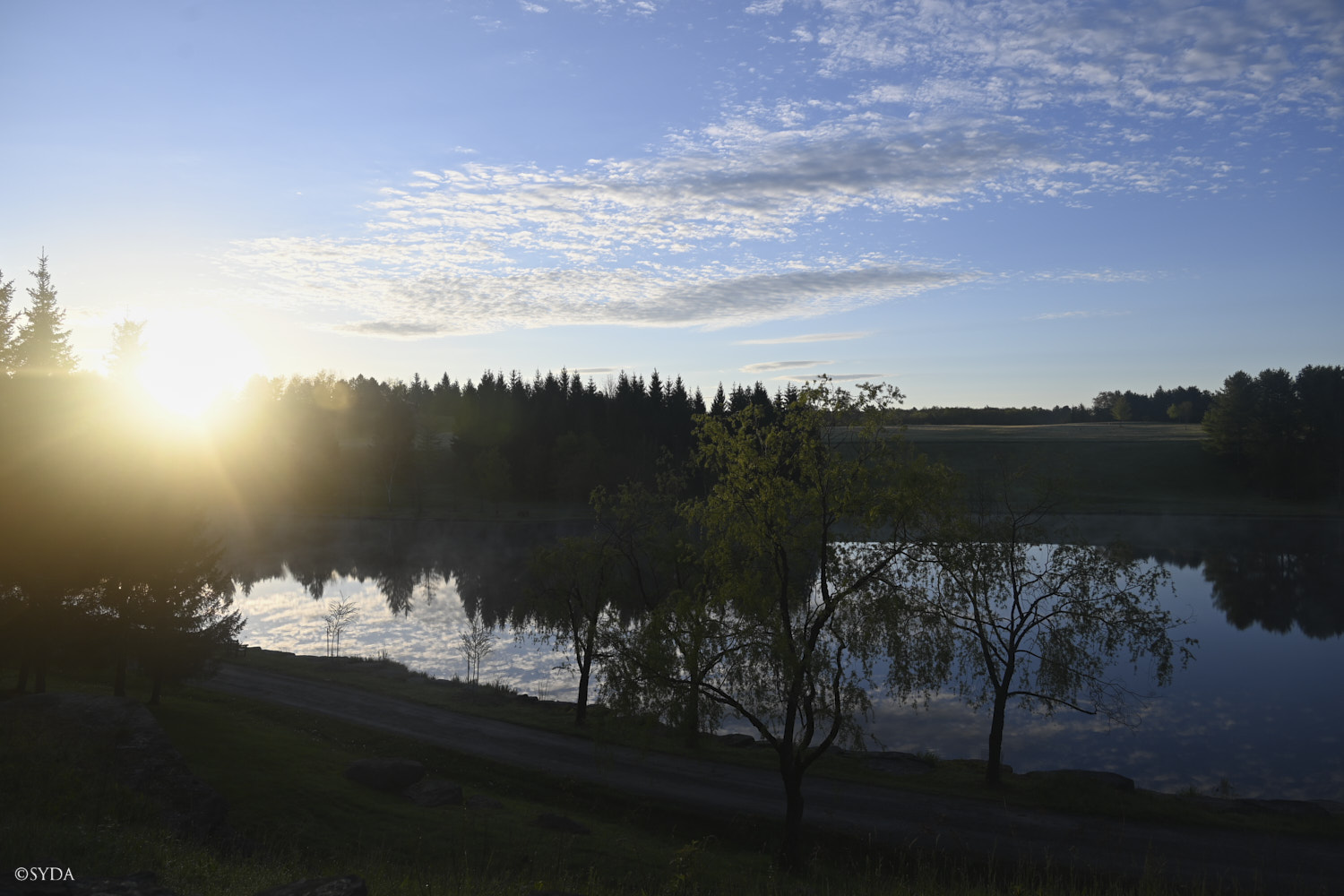 Nature Image