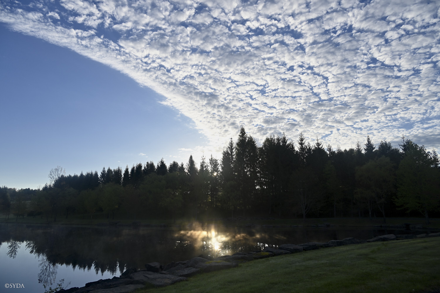 Nature Image