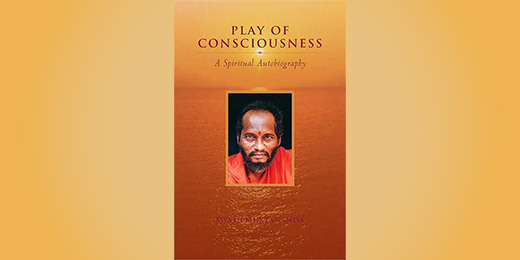 Book: Play of Consciousness