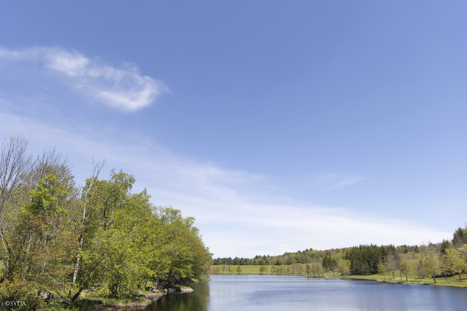 Nature Image