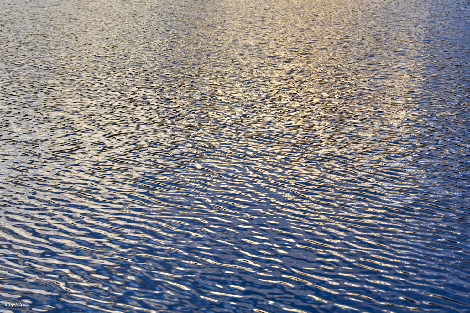 Nature Image