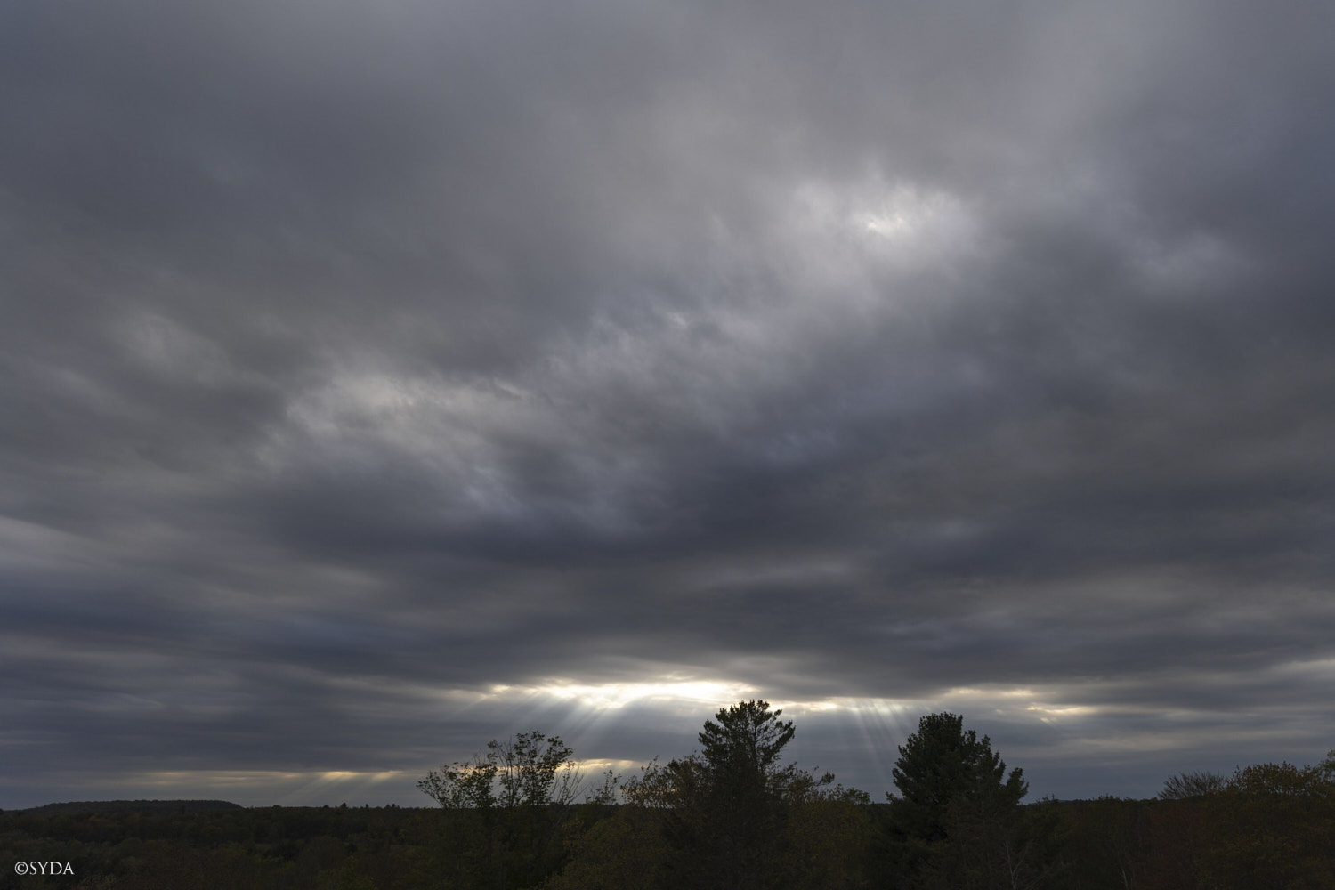 Nature Image