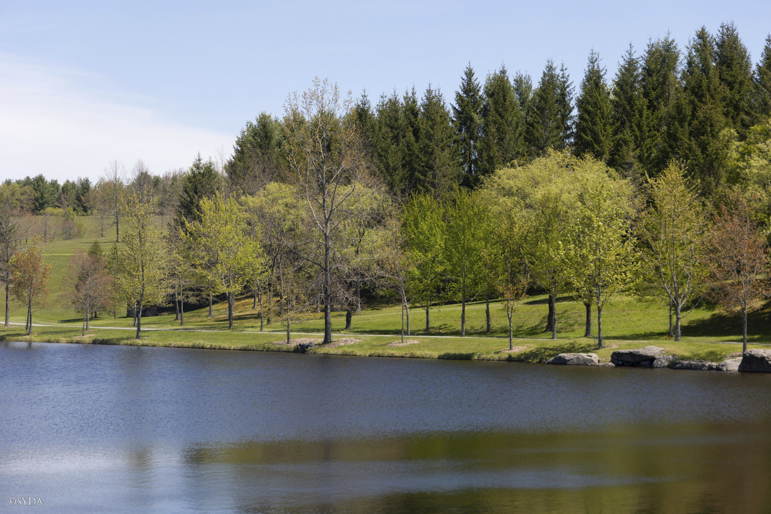 Nature Image