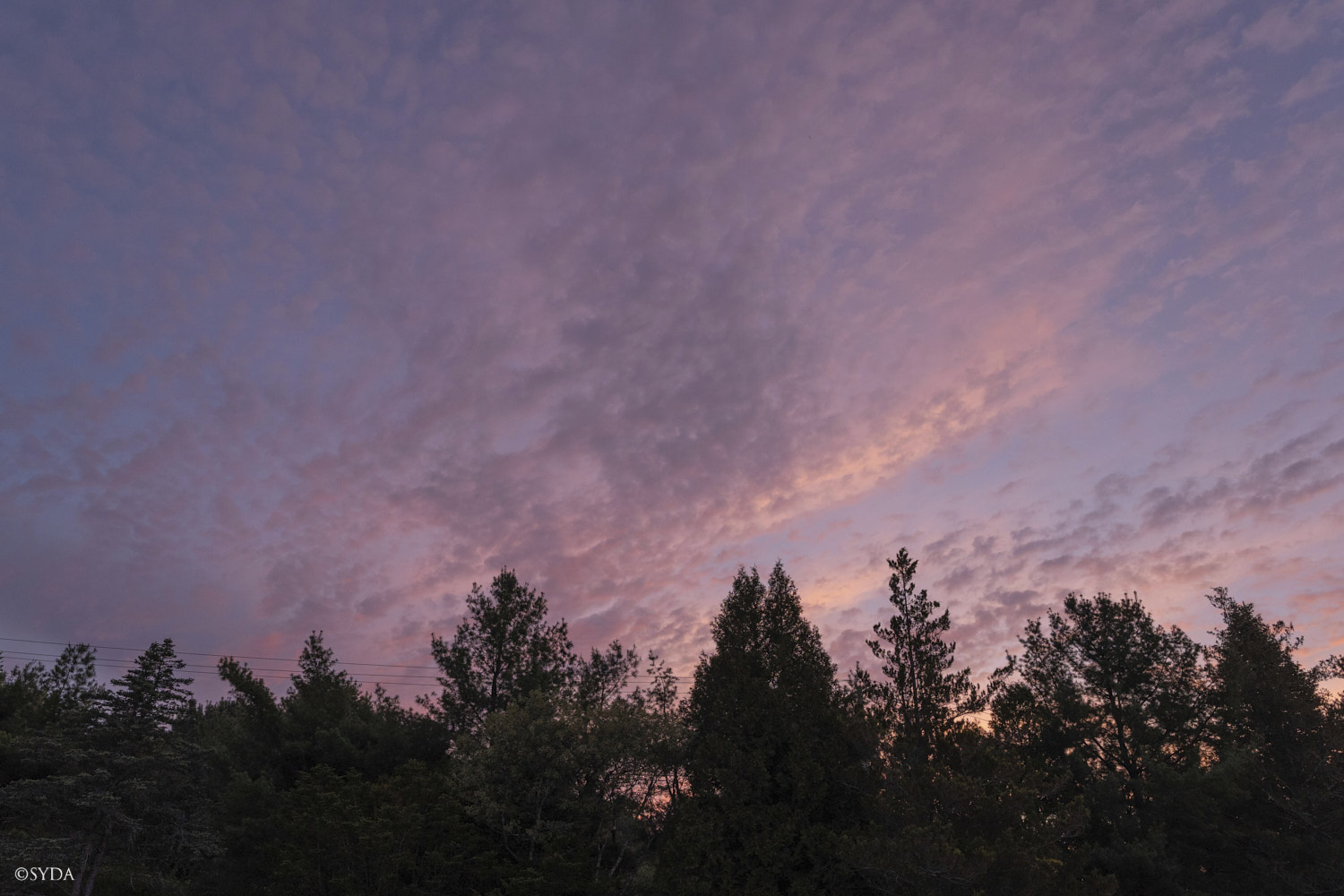 Nature Image