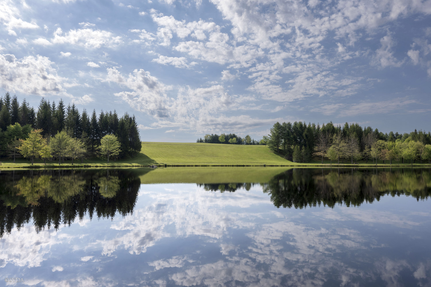 Nature Image