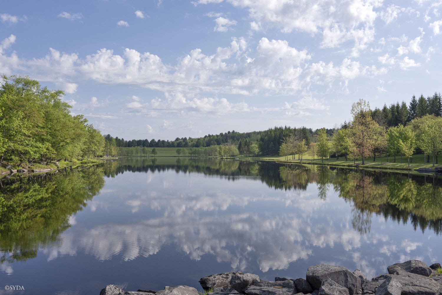 Nature Image