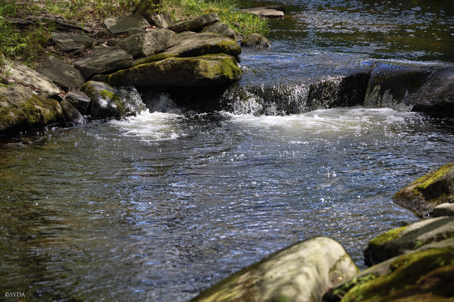 Nature Image