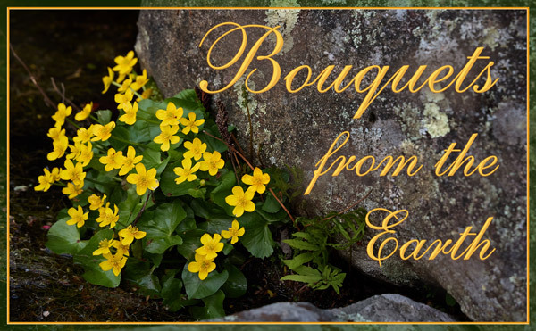 Bouquets from the Earth in 2026