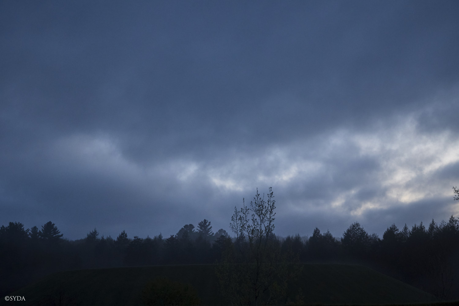 Nature Image