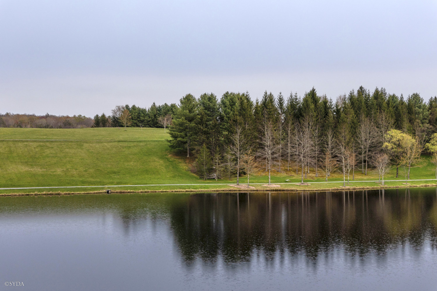 Nature Image