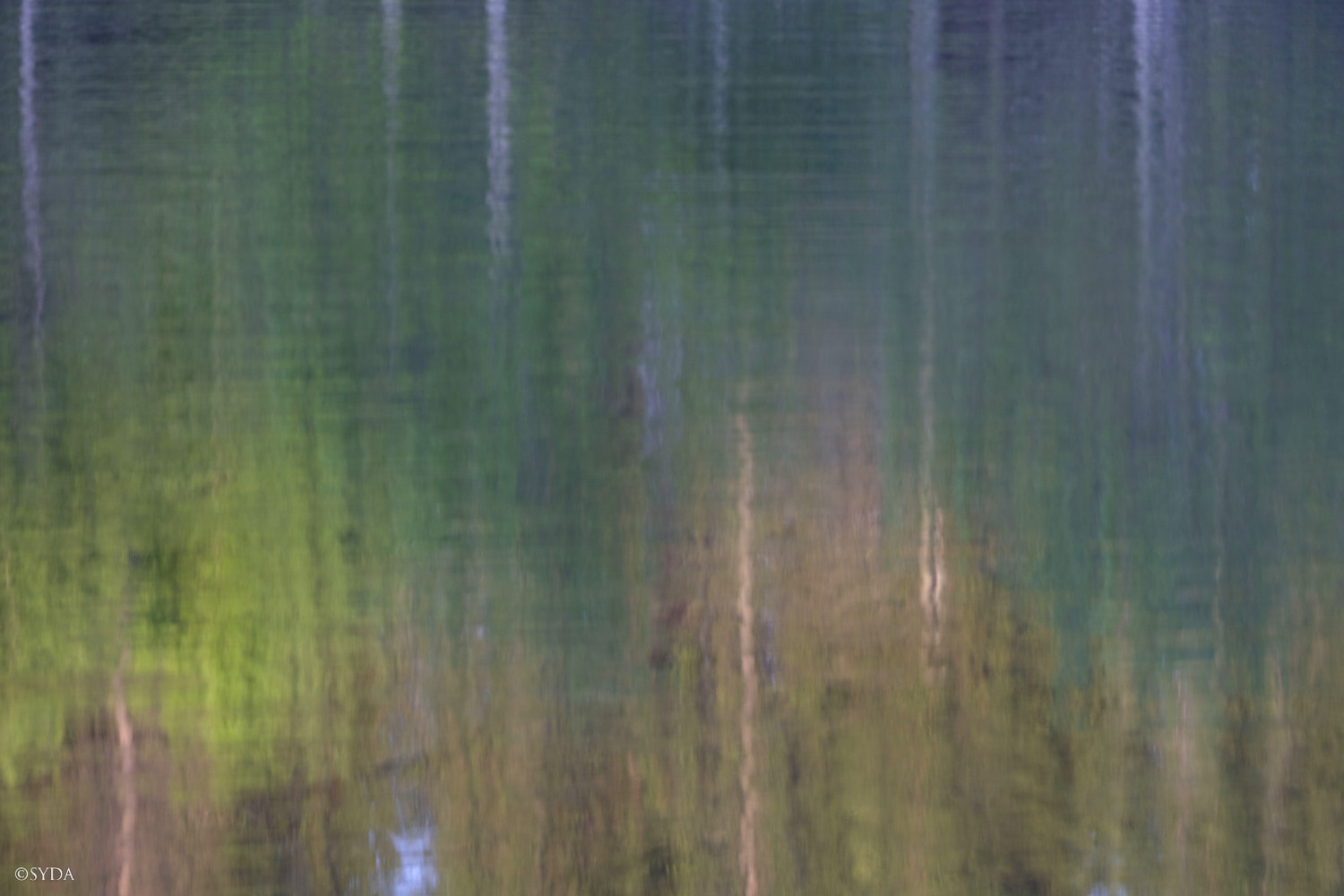 Nature Image