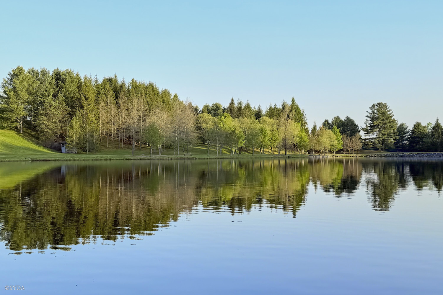 Nature Image