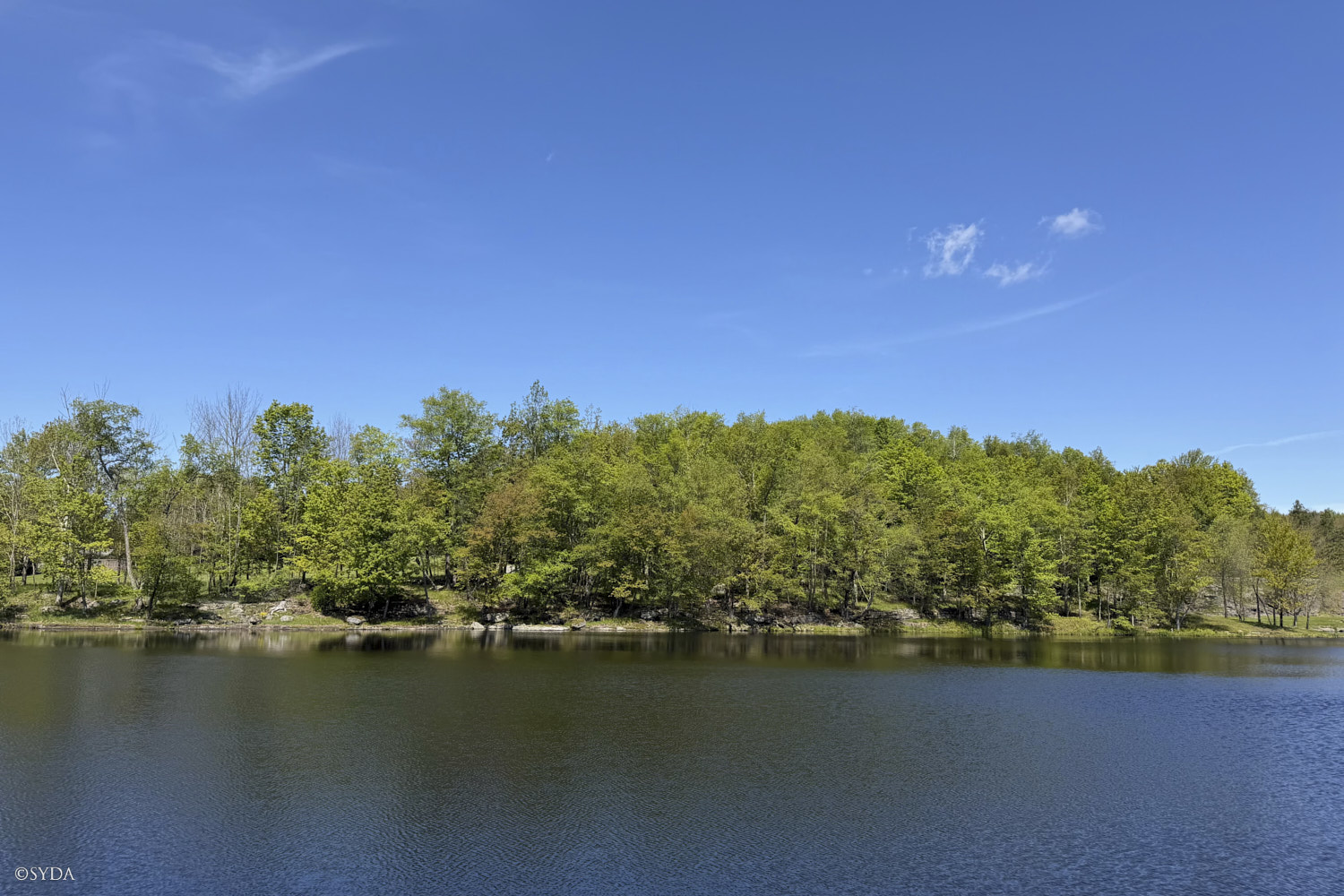 Nature Image