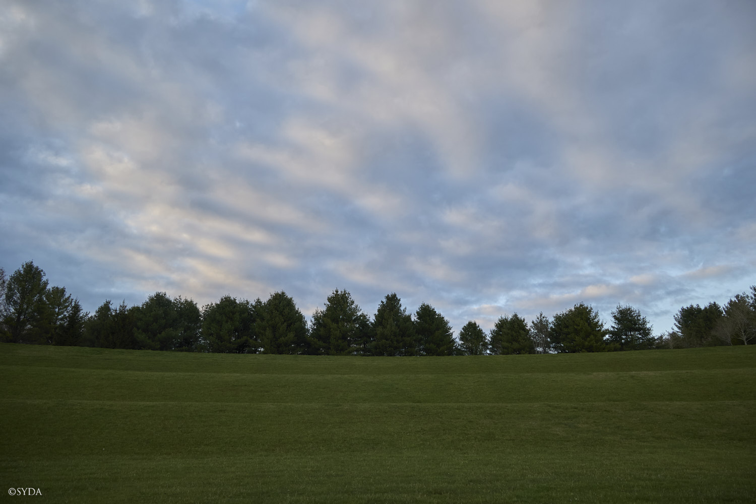 Nature Image