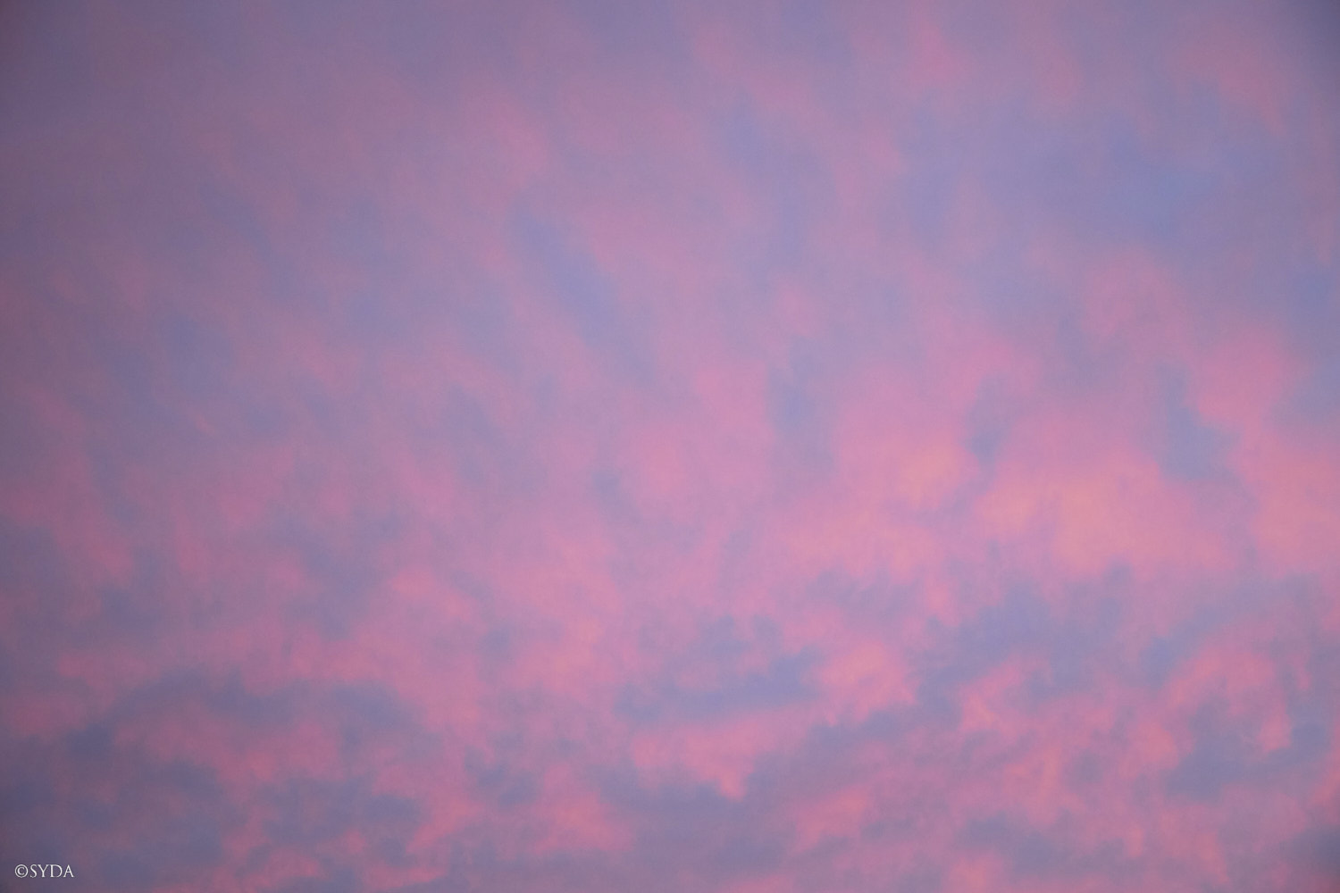 Nature Image