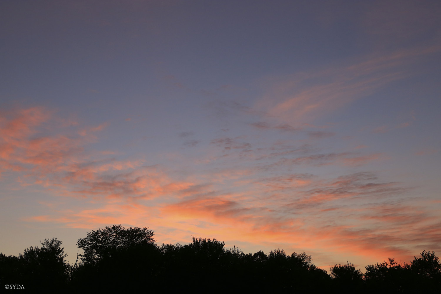 Nature Image