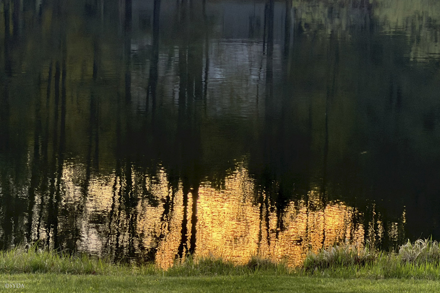 Nature Image