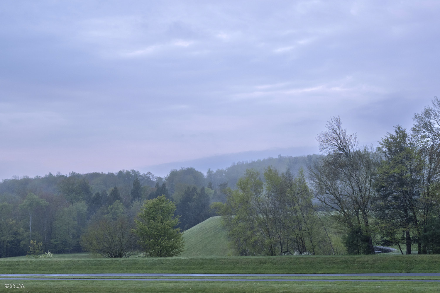 Nature Image